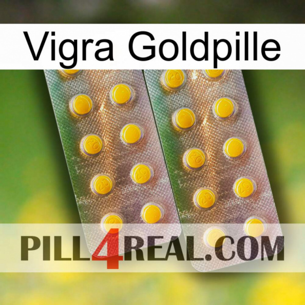 Vigra Gold Pill new10.jpg